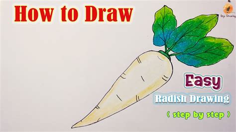 How To Draw Radish