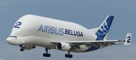 Beluga Airbus Plane - Free photo on Pixabay - Pixabay