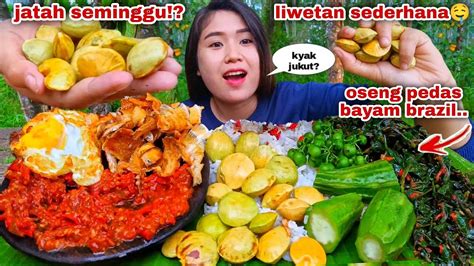 Ons Jengkol Mentah Makan Nasi Liwet Ikan Asin Kapas Sambel Terasi