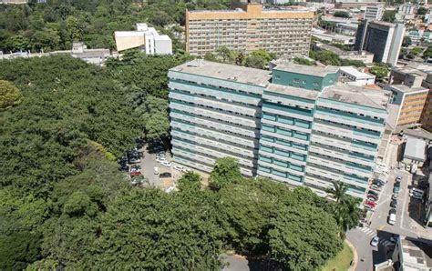 UFMG Universidade Federal De Minas Gerais BH Sedia Estudo Pioneiro