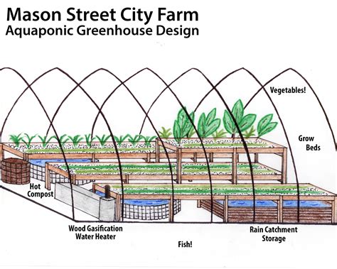 Victoria Aquaponics | Mason Street Farm