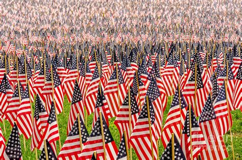 Field Of Us Flags Photograph By Mike Ste Marie Fine Art America