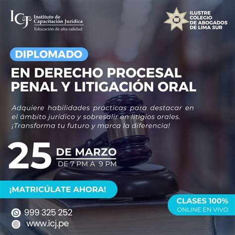 Diplomado En Derecho Procesal Penal Y LitigaciÓn Oral Instituto De