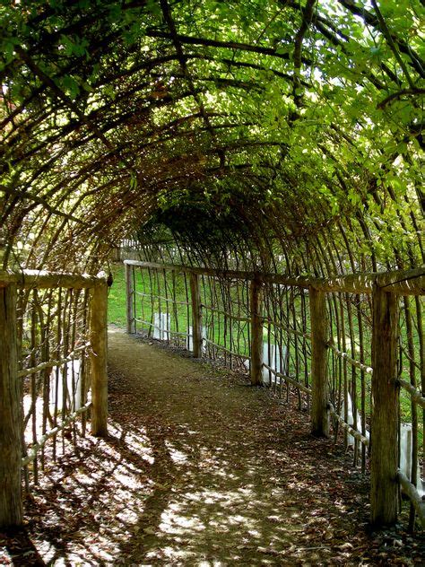 35 Grape Trellis ideas | grape trellis, trellis, grape vine trellis