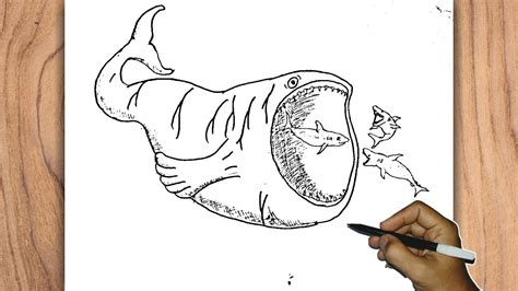 How To Draw Bloop Vs Megalodon Epic Underwater Battle Youtube