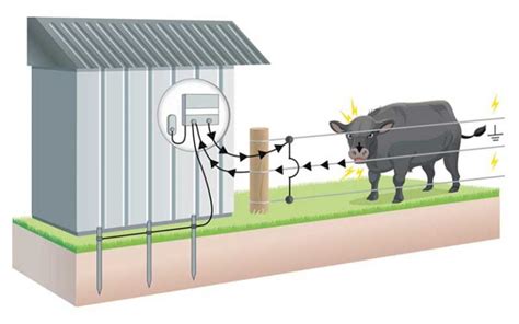 Understanding Electric Fencing