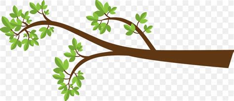 Branch Tree Drawing Clip Art, PNG, 2160x943px, Branch, Drawing, Flora ...