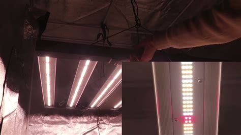 6 Bars Full Spectrum Foldable Led Grow Light Youtube