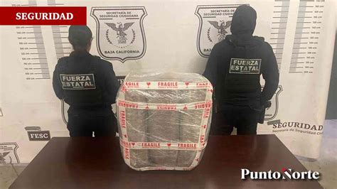 Fuerza Estatal Decomisa Kilos De Marihuana Pero Responsables Se Dan