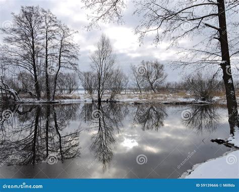 Lithuanian Winter Landscape Stock Photo - Image of trees, view: 59139666