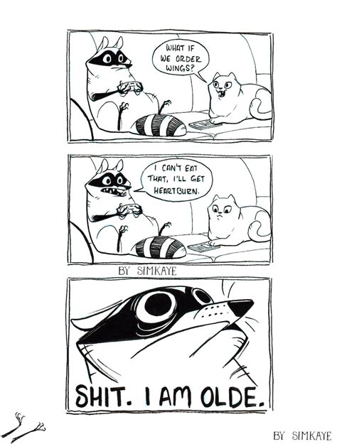 Raccoon Comic - 139. Olde