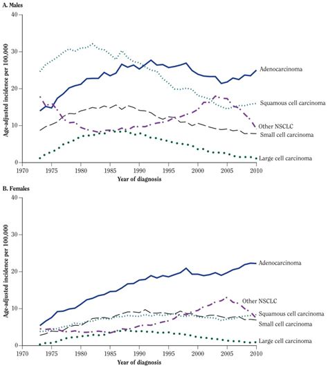 Figure 610 Standardized Incidence Of Lung Cancer By Gender And