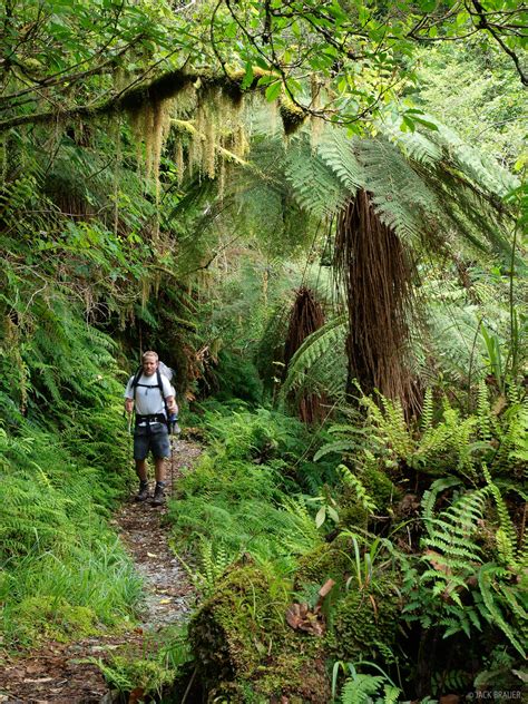 Copeland Track Hiking | New Zealand | Mountain Photography by Jack Brauer