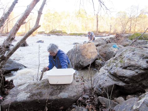 At Last 1 4 Dioxane Levels In Pittsboro’s Water Are Non Detectable Now What