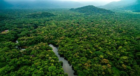 El Asteroide Que Extingui A Los Dinosaurios Cre La Amazonia History