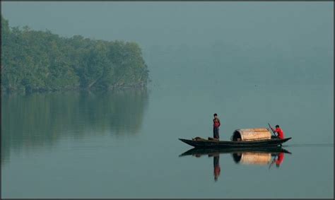 Sundarban, Bangladesh | Mangrove forest, Nature photography, Landscape