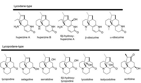 Lycopodium Alkaloids That Have Been Reported In Huperzia Selago