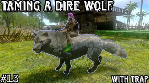 Taming A Dire Wolf In Ark Survival Evolved Raddico Gaming Youtube