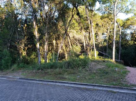 Lote Terreno Na Rua Pessegueiro Quadra V Carniel Em Gramado Por R