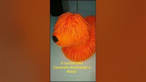 O Cachorrinho Caramelo Tá Correndo Atrás De Mim L Youtube