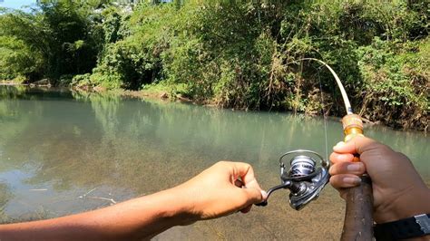 SANGAT KEJAM UMPAN KECIL INI LANGSUNG DI HAJAR CASTING HAMPALA DAN