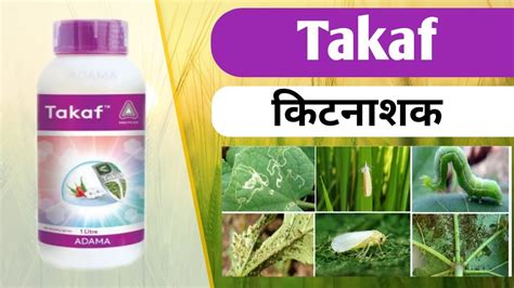 Adama Takaf Insecticide Whitefly Thrips Control Diafenthiuron 47