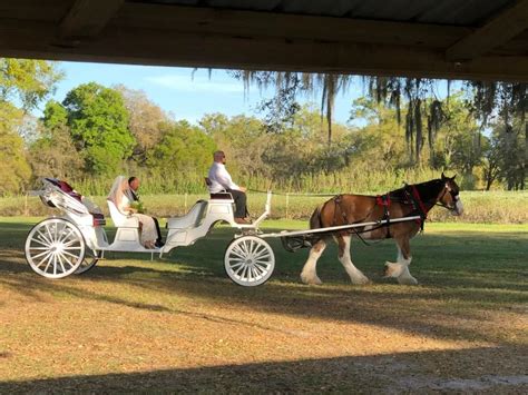 Whispering Oaks Winery Oxford Fl Wedding Venue