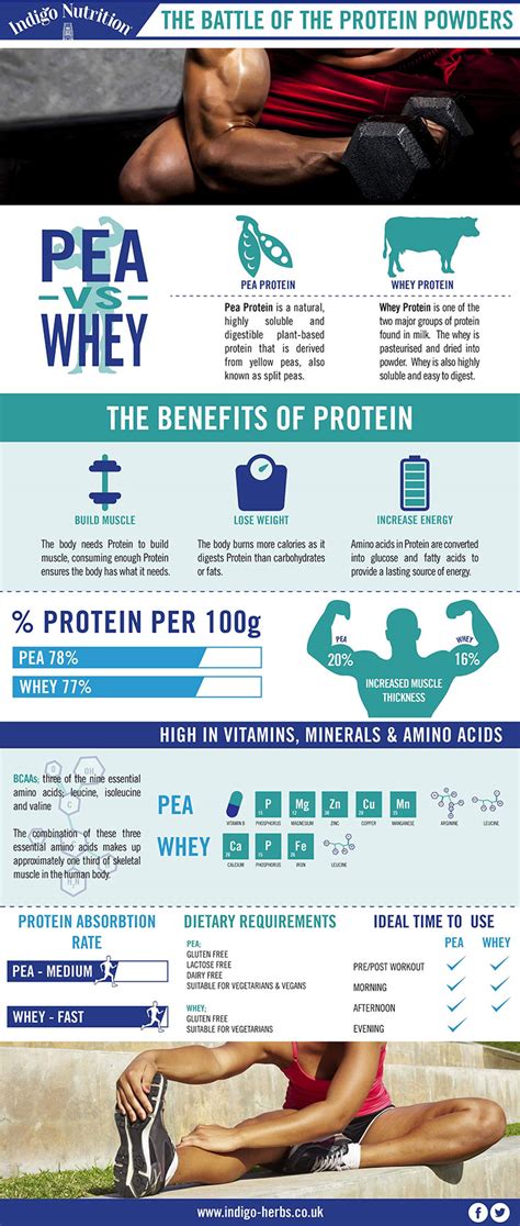 The Battle Of The Protein Powders Is Pea The New Whey Indigo Herbs