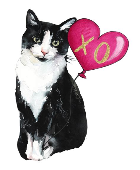 Black And White Cat Valentine Card Valentine Card For Cat Etsy