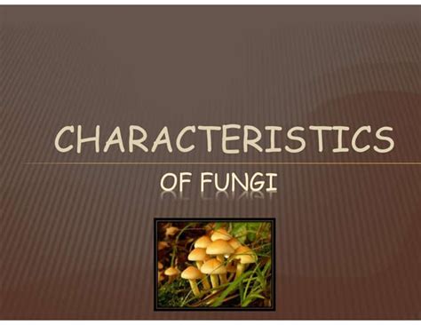 1. General Characters of Fungi.pdf