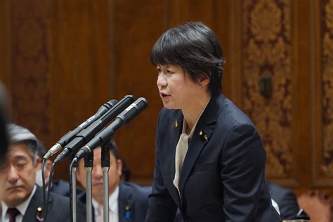 【参予算委】舟山参議院議員会長が所得税減税などについて質疑 新・国民民主党 つくろう、新しい答え。