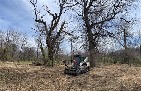 NWTF and KDFWR Boost Early Successional Habitat in the Bluegrass State
