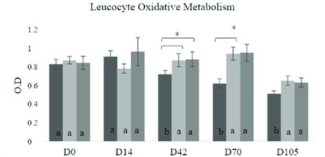 Leukocyte Oxidative Metabolism Of Feedlot Steers Supplemented With