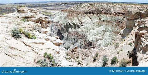 Blue Mesa Petrified Forest National Park Arizona United States Stock