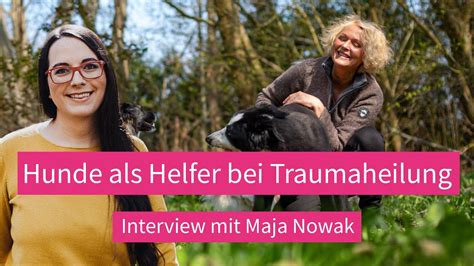 Traumaheilung Hunde Als Helfer Interview Mit Maja Nowak YouTube