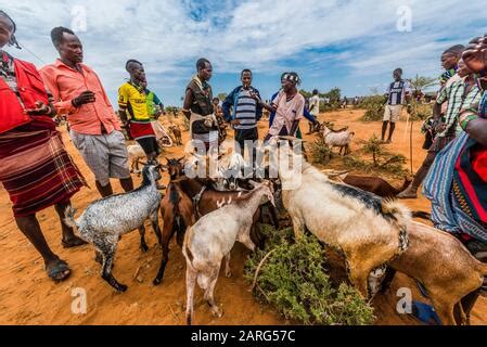 africa ethiopia southern omo valley nyangatom tribe nyangatom women