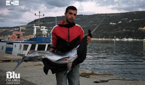 Blu Calabria L Asta Del Pesce A Vibo Marina Si Fa A Voce Il Racconto