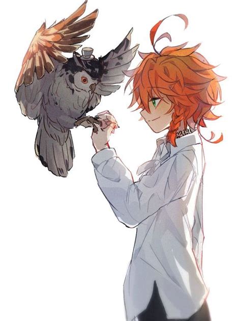 The Promised Neverland Promised Neverland The Promised Neverland