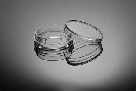 Glass Bottom Cell Culture Dish Nest Ushelf