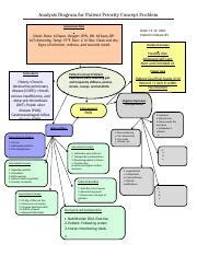 A Patient Priority Concept Problem Analysis Diagram Docx Analysis