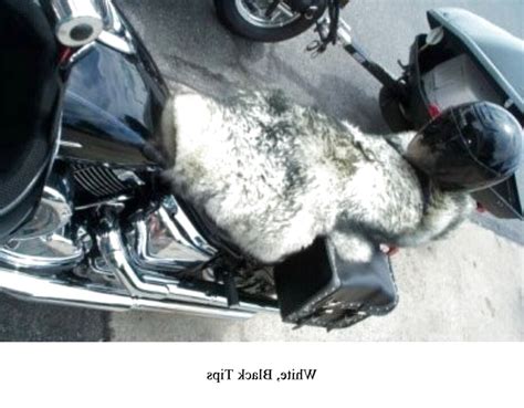 Motorcycle Sheepskin Seat Cover Uk - Velcromag