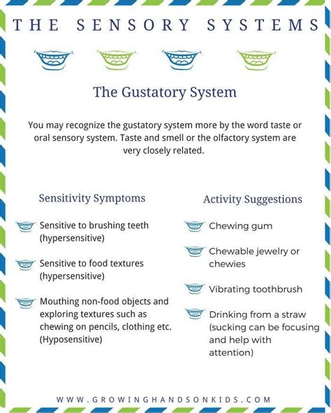 Sensory System Printable Handout Guides Sensory System Sensory Diet