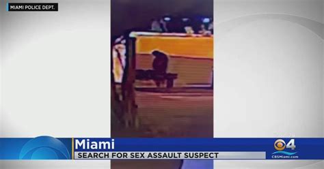 Miami Police Ask For Help Finding Sexual Assault Suspect Cbs Miami