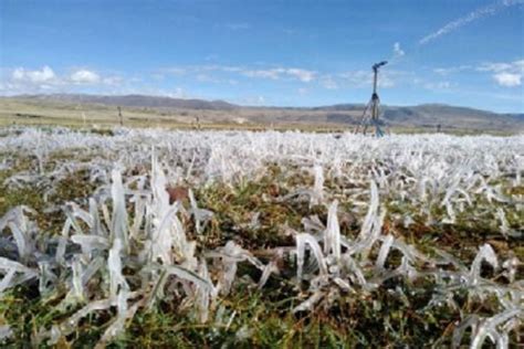 Heladas Causan Da Os En Cultivos De Familias En La Sierra De Ncash