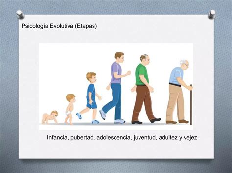 El Desarrollo Evolutivo Ppt