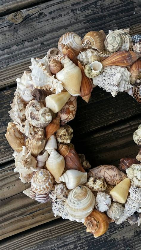 Shell Wreath Sea Shell Wreath Beach Wreath - Etsy