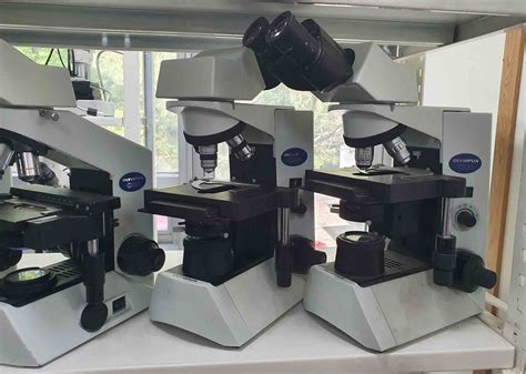 Olympus Cx31 Microscope Used For Sale Price 293604642 Buy From Cae