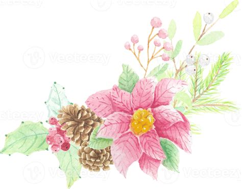 Watercolor Christmas Poinsettia Flower Bouquet 13390879 Png