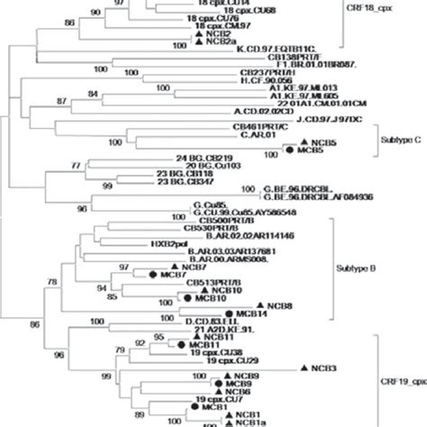 Phylogenetic Trees By Neighbor Joining Of 23 Hiv 1 Pol Gene Sequences