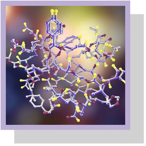 Insuline Caract Ristiques Et R Les Biologiques Nutrixeal Info